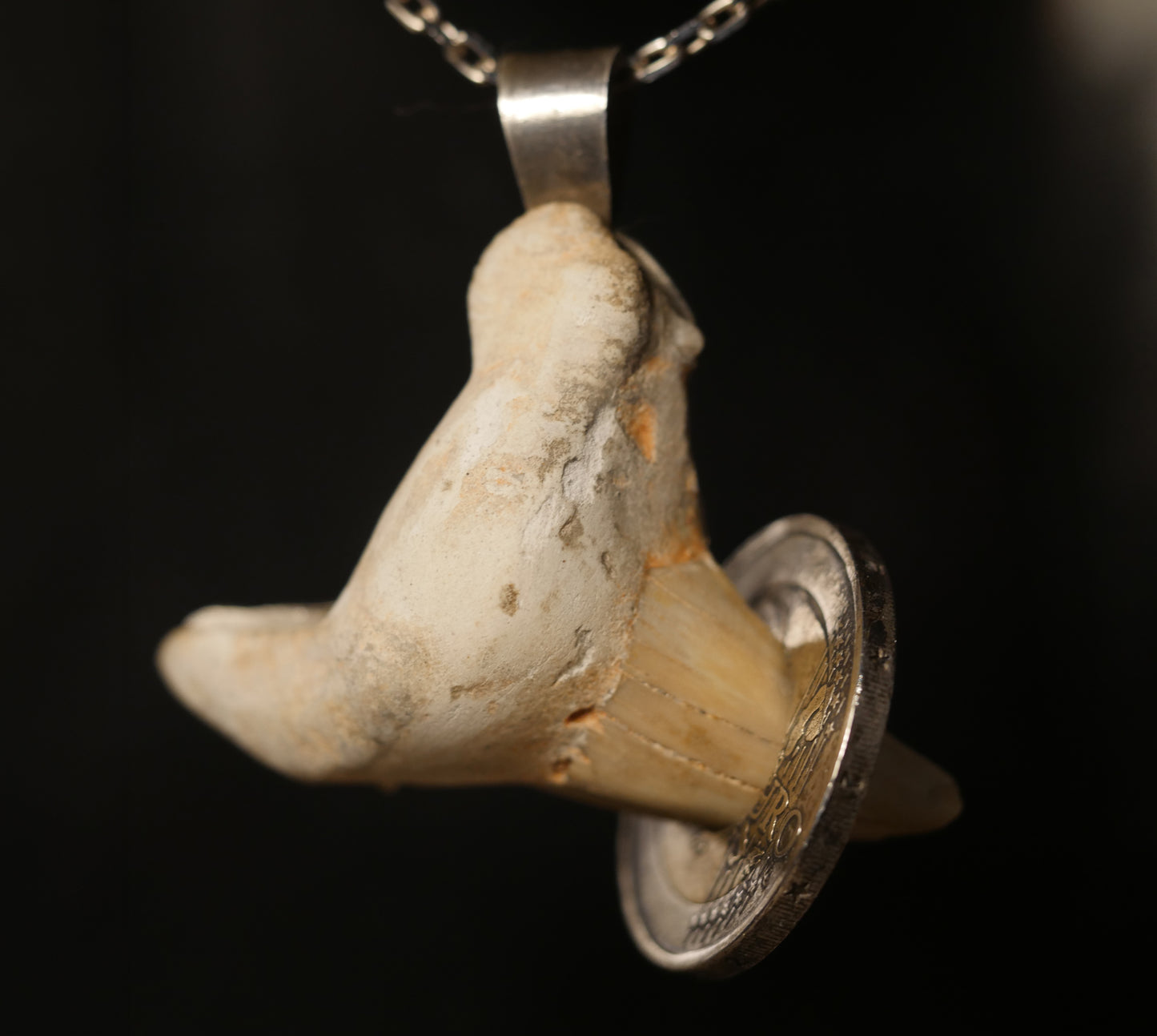 Pendentif dent de requin